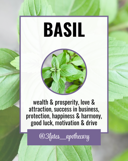 Basil - Ritual Herb