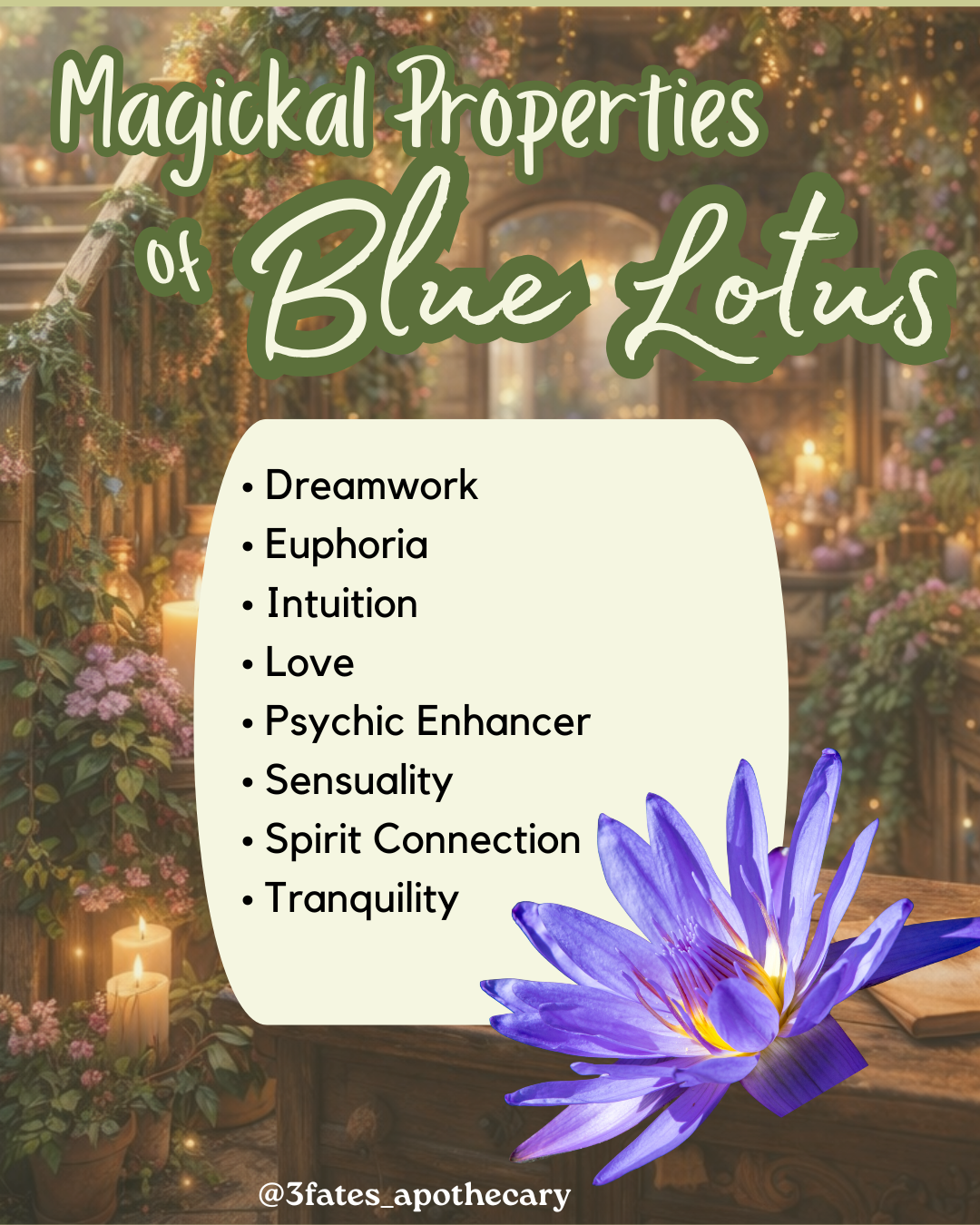 Blue Lotus Flower
