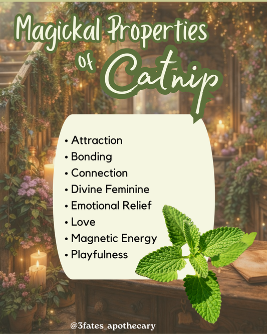 Attraction - Herb Kit