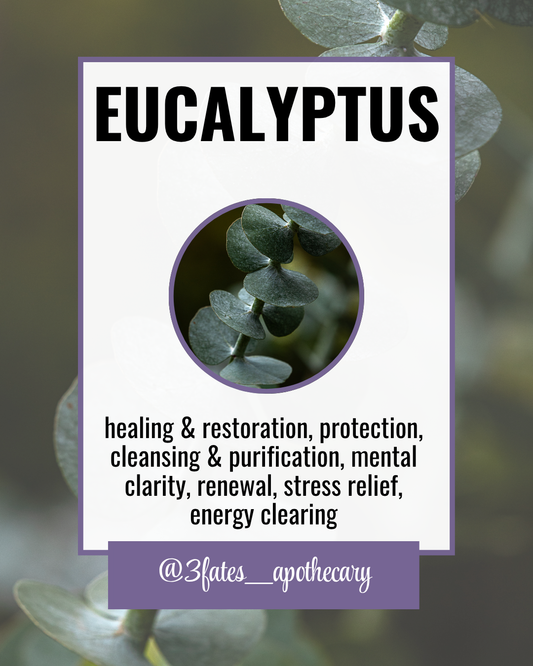 Eucalyptus - Ritual Herb