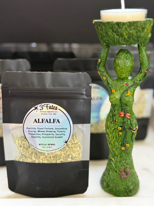 Alfalfa