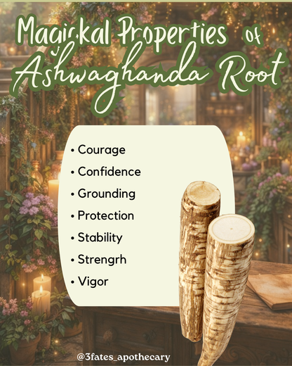 Protection - Herb Kit