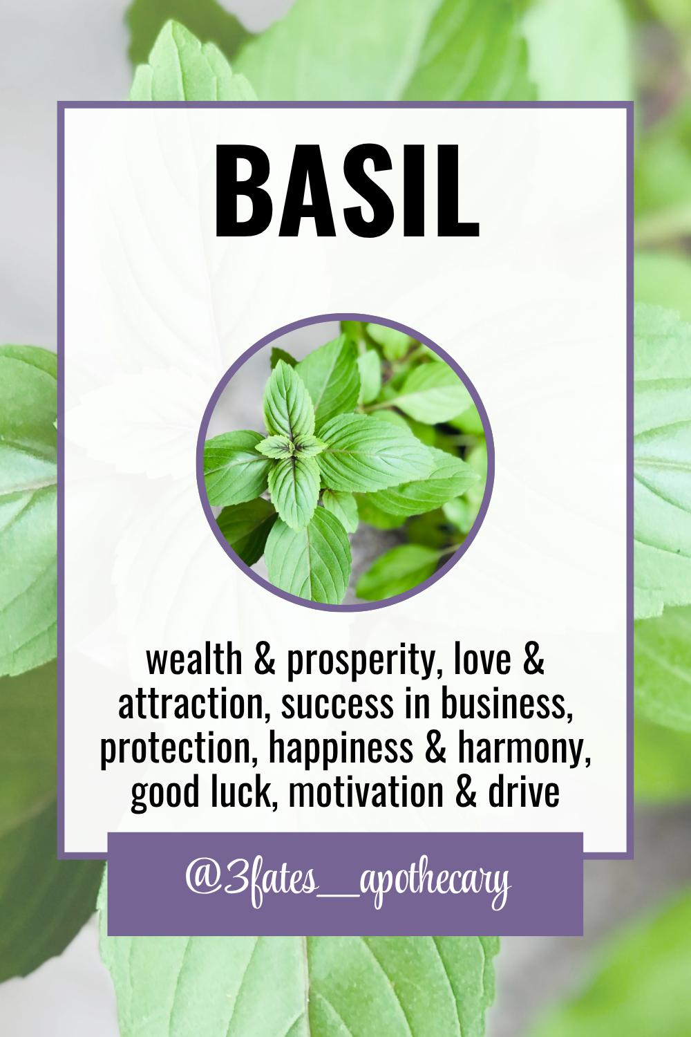 Crown of Success Herbal Kit & Blend | Luck & Achievement Ritual Herbs
