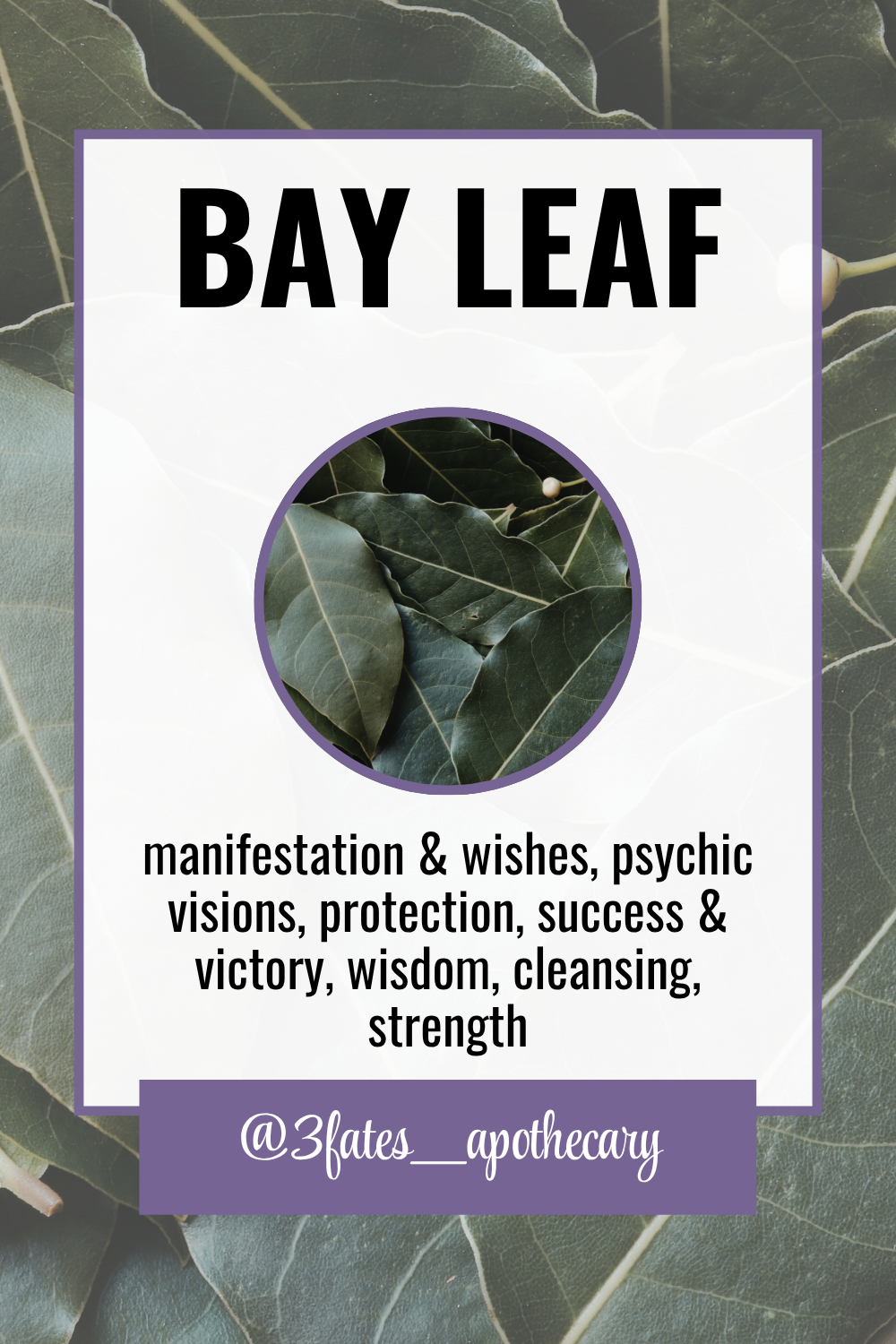 Mogul Maker Ritual Herbs | Business Success Herb Kit | Entrepreneurship & Manifestation | Basil, Bay, Ginger | 3Fates Signature Collection