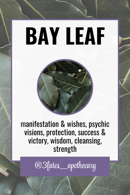 Mogul Maker Ritual Herbs | Business Success Herb Kit | Entrepreneurship & Manifestation | Basil, Bay, Ginger | 3Fates Signature Collection