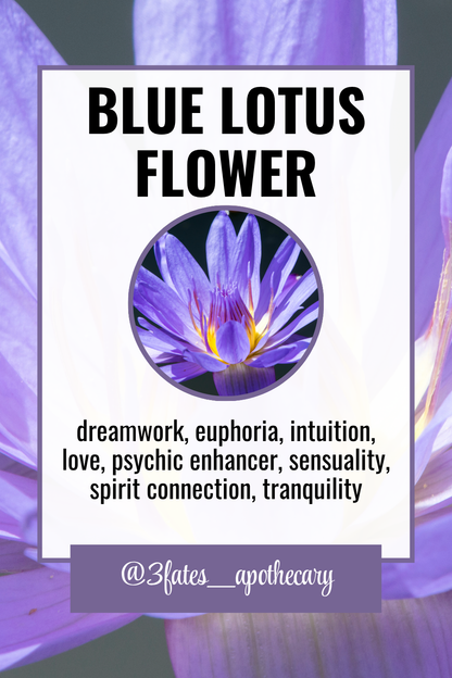 Retrograde Rinse Ritual Herbs | Purification Herb Kit | Peace, Release & Renewal | Lavender, Hyssop, Blue Lotus | 3Fates Signature Collection