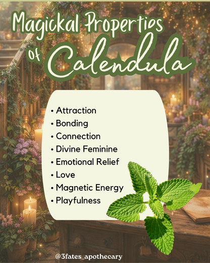 Protection - Herb Kit