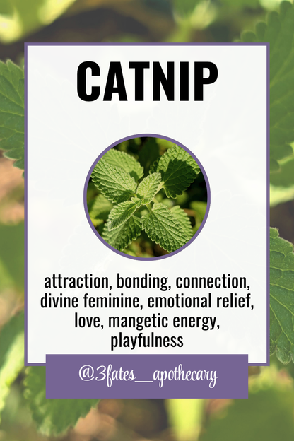 Calm Down Herbal Kit | Emotional Relief & Comfort Ritual Herb Set