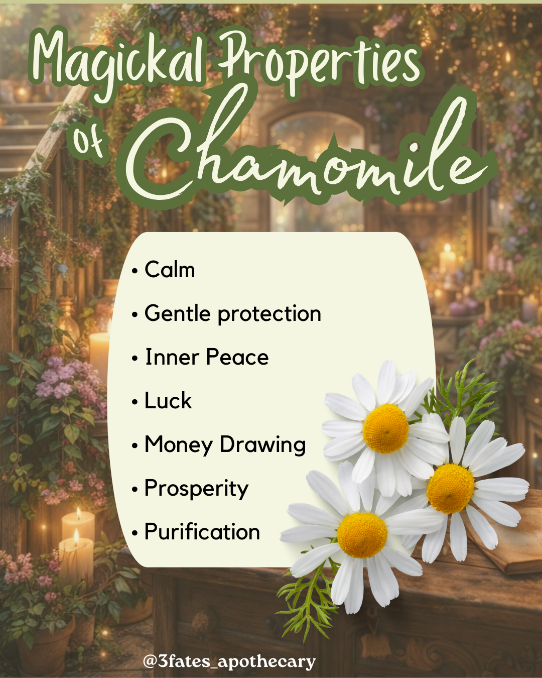 Purification - Herb Kit