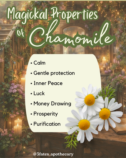 Purification - Herb Kit