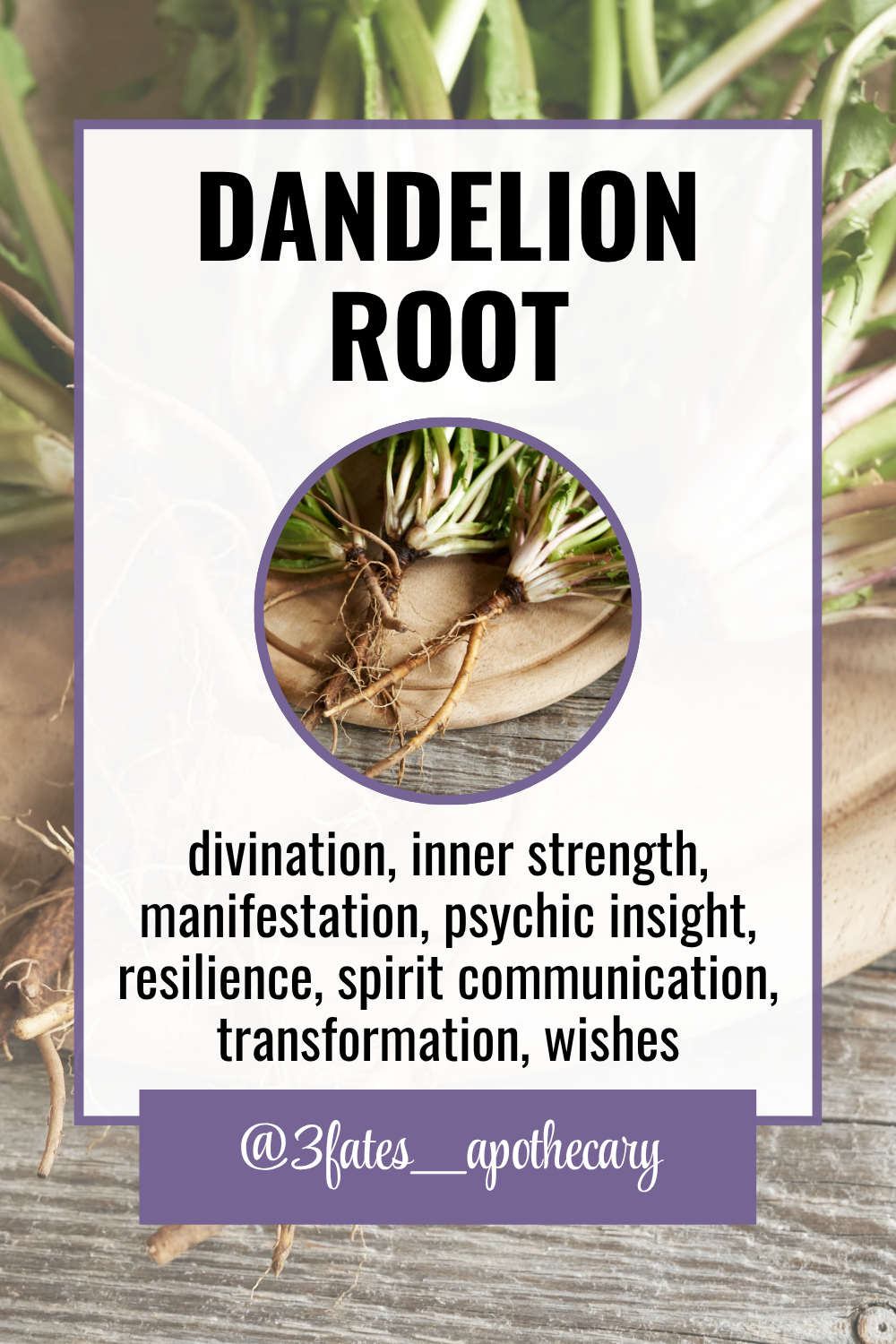 Dream Bait Herb Kit | Mugwort, Blue Lotus, Wormwood | Lucid Dreaming & Astral Travel  | Shamanic Journeying | Spirit Communication Herbs