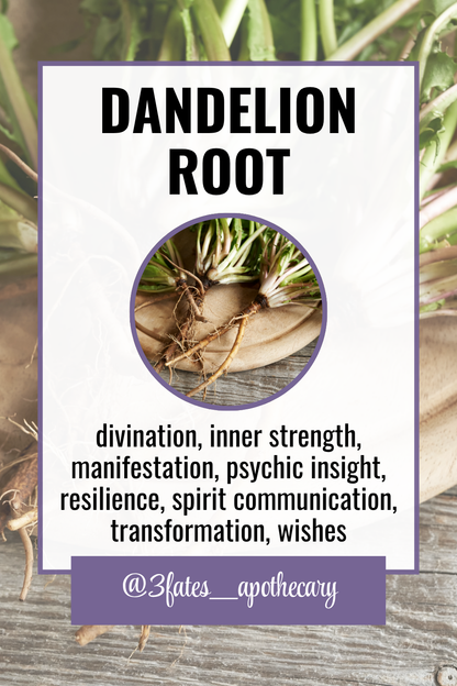 Dream Bait Herb Kit | Mugwort, Blue Lotus, Wormwood | Lucid Dreaming & Astral Travel  | Shamanic Journeying | Spirit Communication Herbs