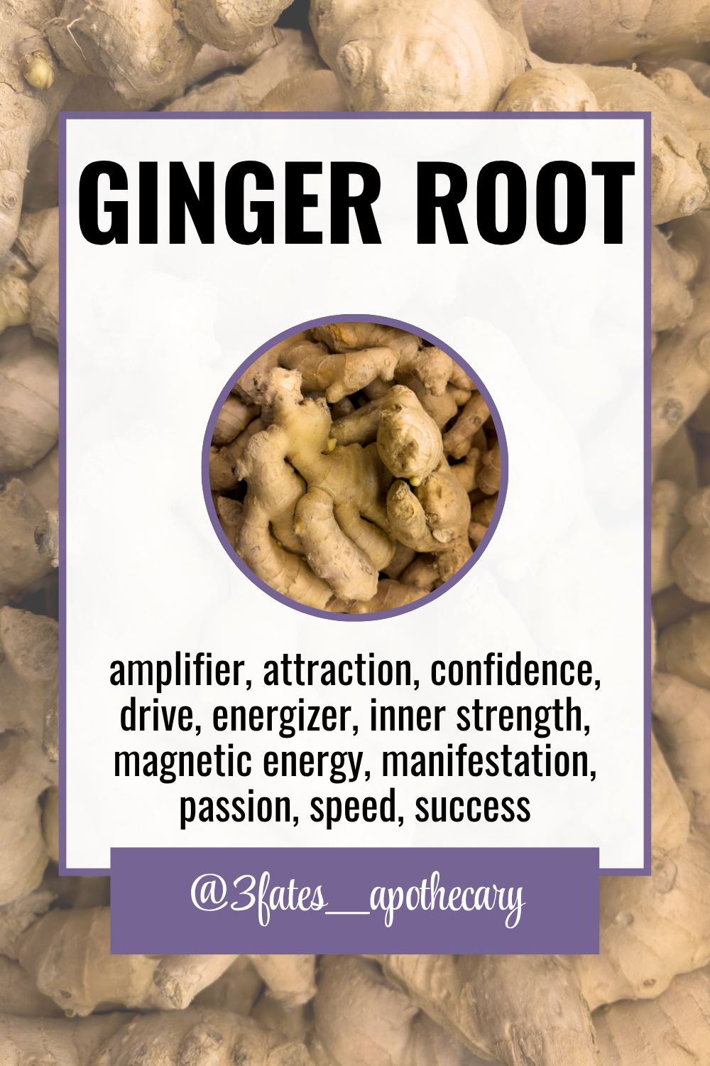 Crown of Success Herbal Kit & Blend | Luck & Achievement Ritual Herbs