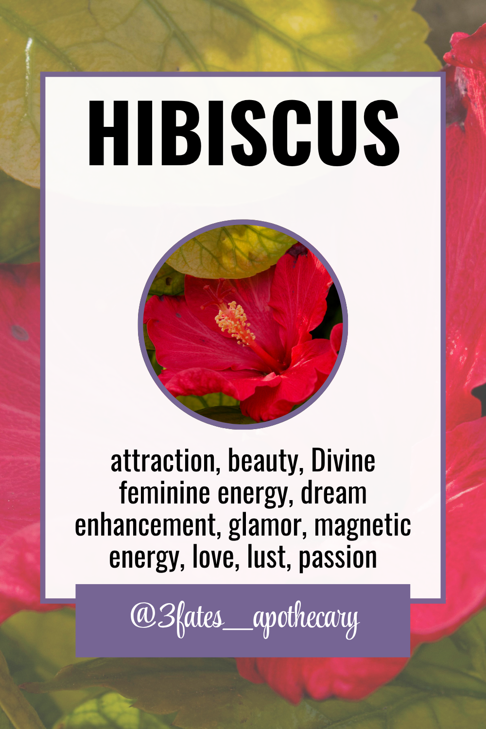 Dream Bait Herb Kit | Mugwort, Blue Lotus, Wormwood | Lucid Dreaming & Astral Travel  | Shamanic Journeying | Spirit Communication Herbs