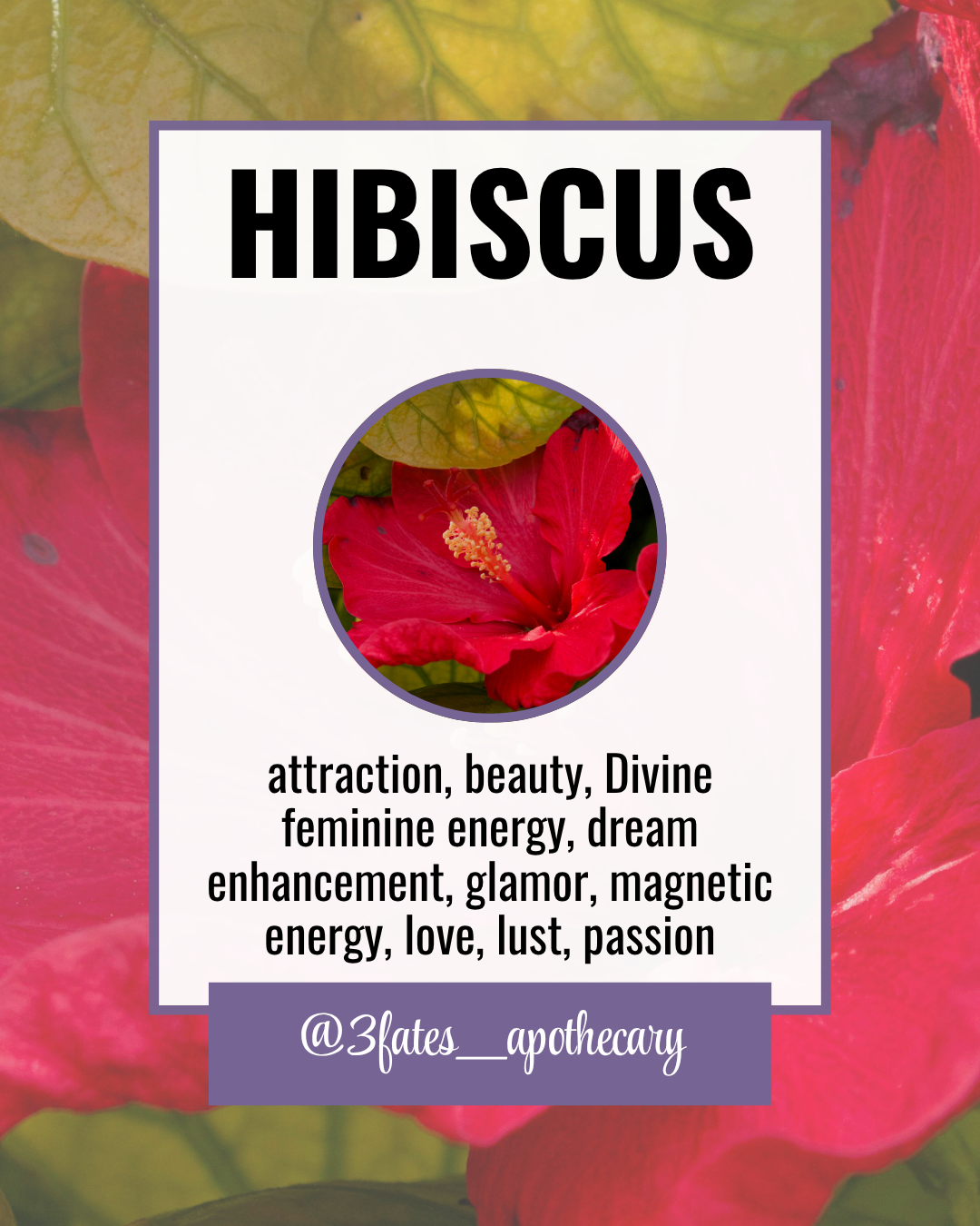 Glow Up Ritual Herbs | Self Love Herb Kit | Breakup Healing & Confidence Boost | Rose, Hibiscus, Lavender | 3Fates Signature Collection