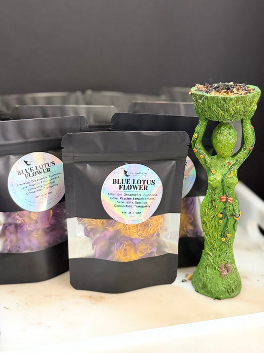Blue Lotus Flower