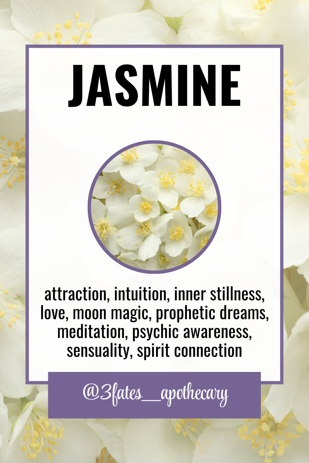 Dream Bait Herb Kit | Mugwort, Blue Lotus, Wormwood | Lucid Dreaming & Astral Travel  | Shamanic Journeying | Spirit Communication Herbs