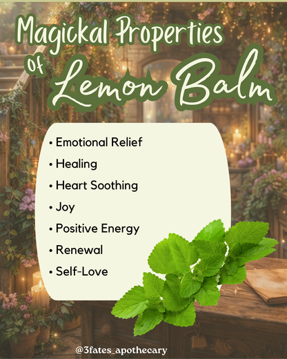 Lemon Balm