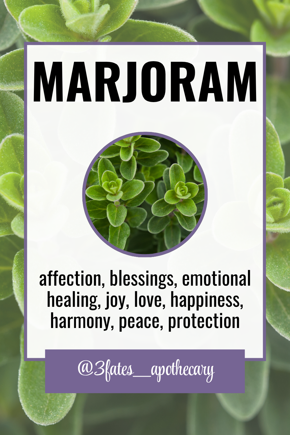 Calm Down Herbal Kit | Emotional Relief & Comfort Ritual Herb Set