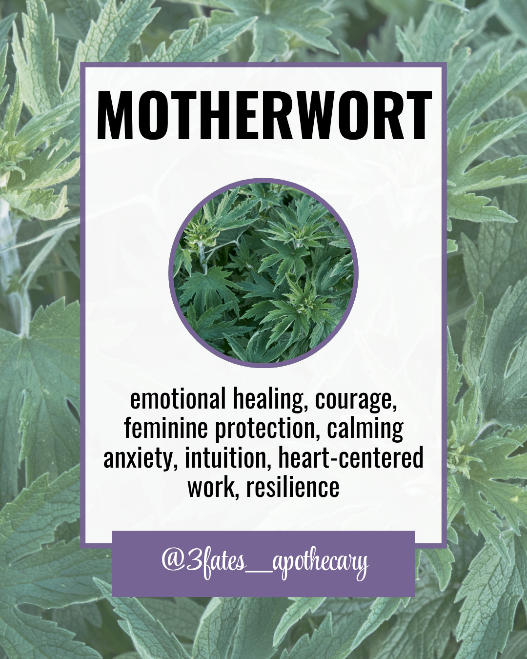 Calm Down Herbal Kit | Emotional Relief & Comfort Ritual Herb Set
