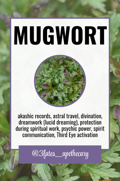 Dream Bait Herb Kit | Mugwort, Blue Lotus, Wormwood | Lucid Dreaming & Astral Travel  | Shamanic Journeying | Spirit Communication Herbs