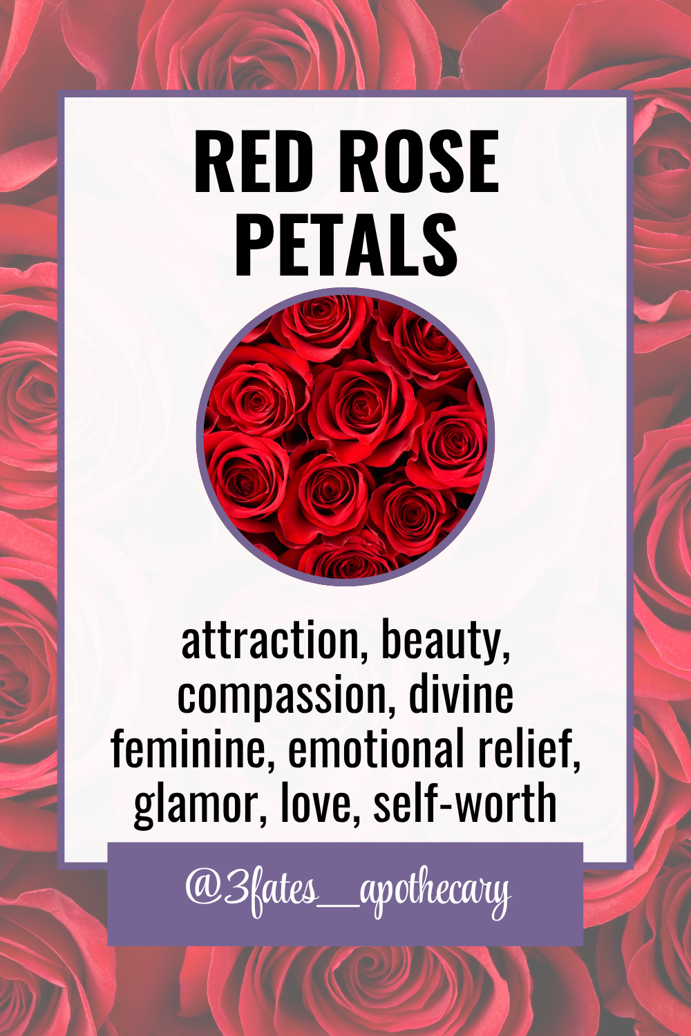 Talk It Out Ritual Herbs | Communication Herb Kit | Harmony, Conflict Resolution & Clear Speech | Rose, Rosemary, Sage | 3Fates Signature Collection