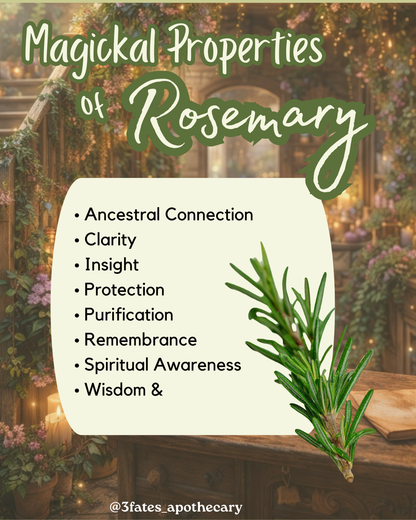 Purification - Herb Kit