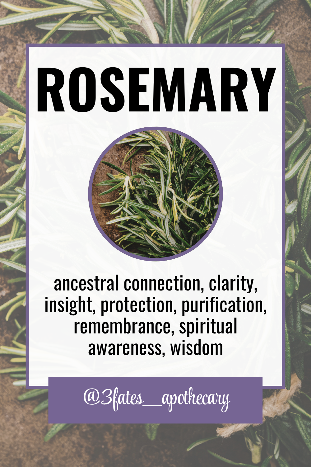 Clarity Curse Herbal Kit | Focus, Intellect & Study Ritual Herb Set