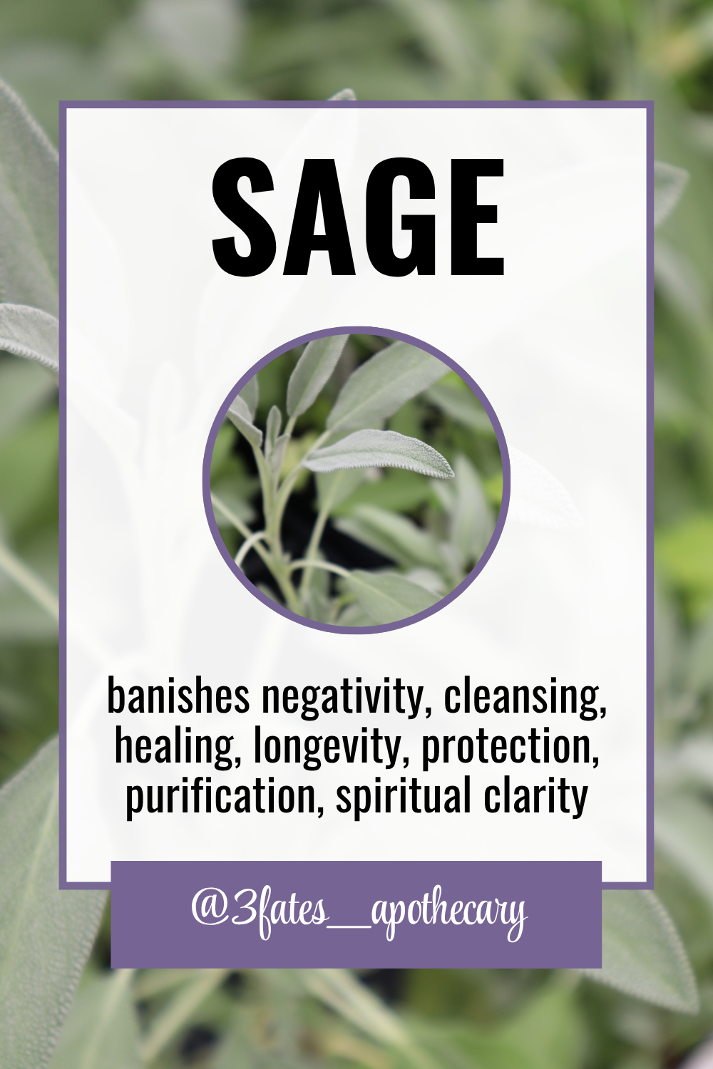 Talk It Out Ritual Herbs | Communication Herb Kit | Harmony, Conflict Resolution & Clear Speech | Rose, Rosemary, Sage | 3Fates Signature Collection