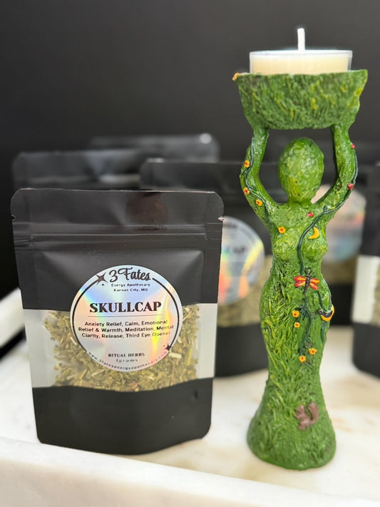 Skullcap - Ritual Herb