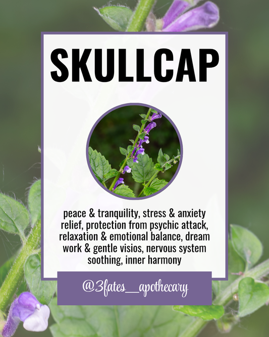 Skullcap - Ritual Herb