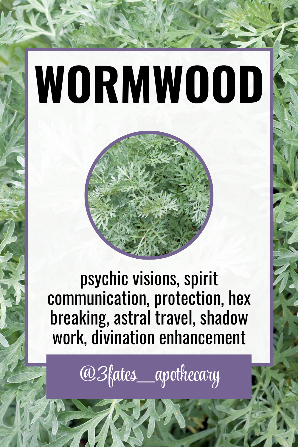 Evil Evictor Ritual Herbs | Banishing Herb Kit | Cord Cutting & Warding Bundle | Hyssop, Mugwort, Wormwood | 3Fates Signature Collection