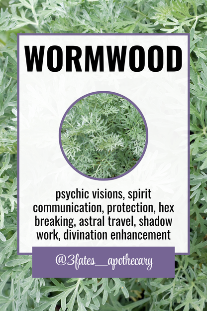 Evil Evictor Ritual Herbs | Banishing Herb Kit | Cord Cutting & Warding Bundle | Hyssop, Mugwort, Wormwood | 3Fates Signature Collection