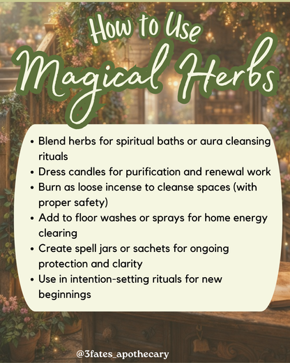 Purification - Herb Kit